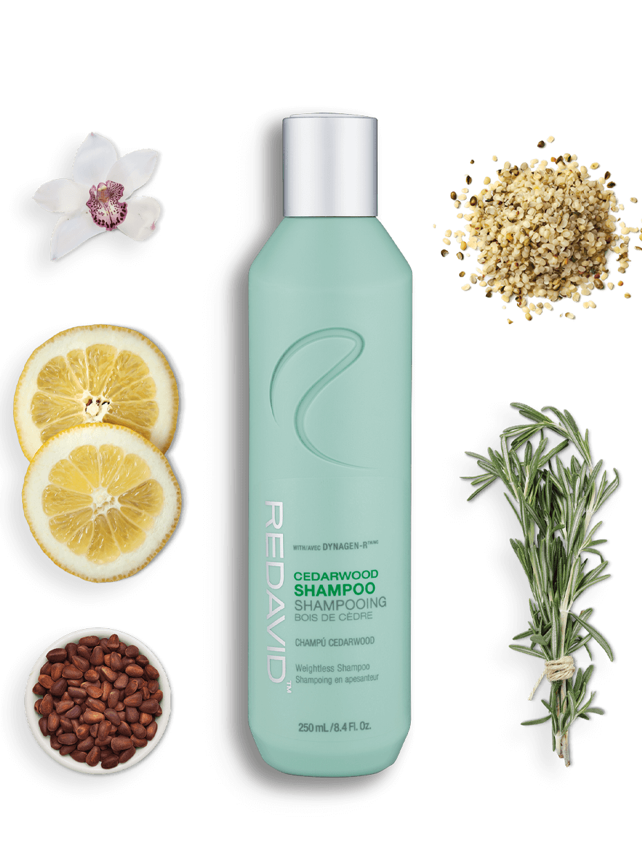 Redavid Cedarwood Shampoo