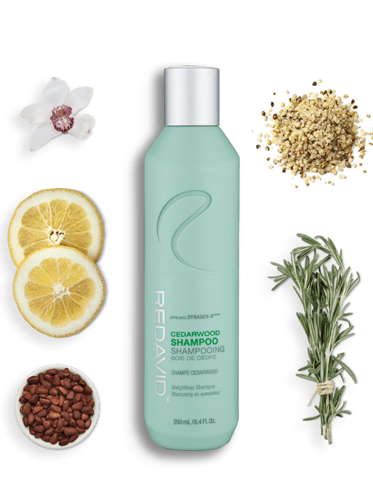 Redavid Cedarwood Shampoo